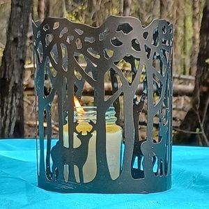 Meet your Posher, Oliver and Lucy